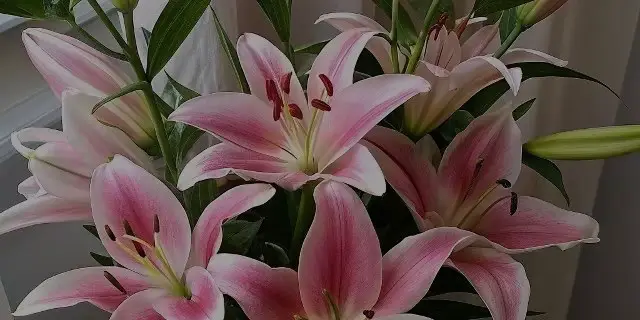 Forever dating myself🫶🏻