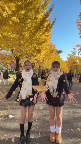 めっちゃ秋感じれた🥺🍂#08 #大阪 #sjk 