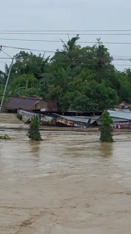 Banjir aceh tamiang