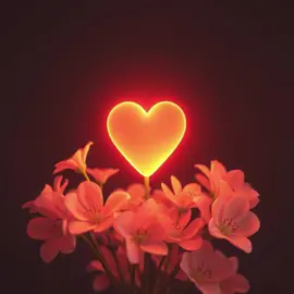 #somalitiktok #somalisong #somaliland #somalilandtiktok💚🤍❤ 