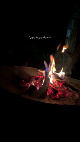 تـە کـیڤـە بـرم دلـبـەرێ🖤”#music🗣️🎶 #fypシ゚ #viral🖤 #☆♡🦋myvide #virayvideo 