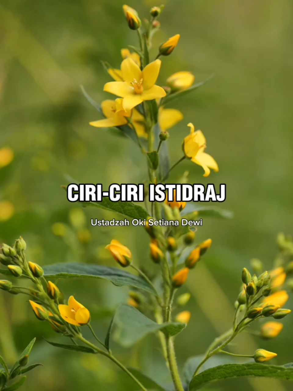 Hati-Hati! inilah ciri-ciri istidraj. #nasehatkehidupan #masyaallahtabarakkallah #islamituindah #selfreminder #muhasabahdiri 