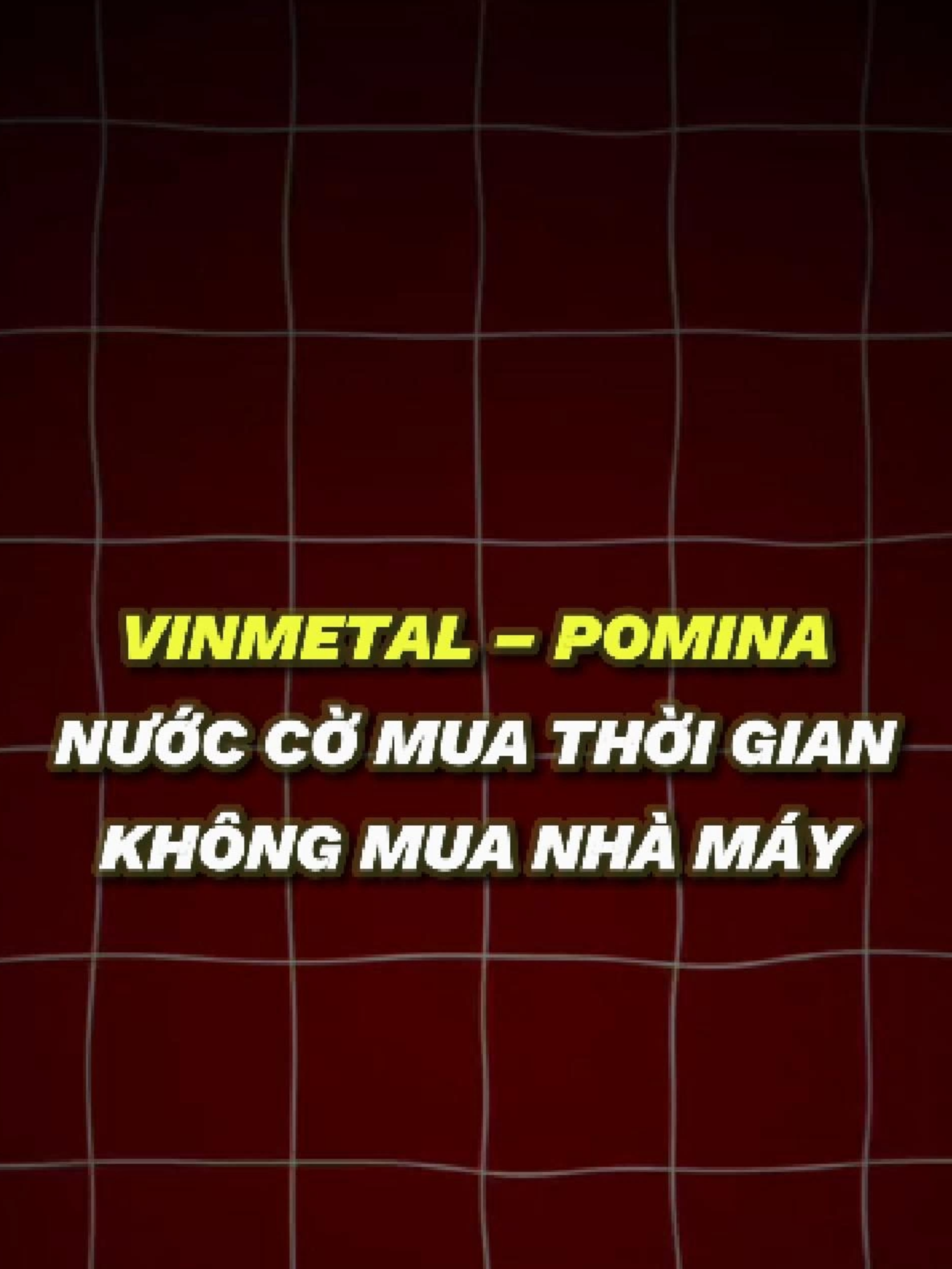 VinMetal Không mua nhà máy mà họ mua thời gian. #xlandmatvukinhte #xland #kinhte #vinmetal #caotocbacnam