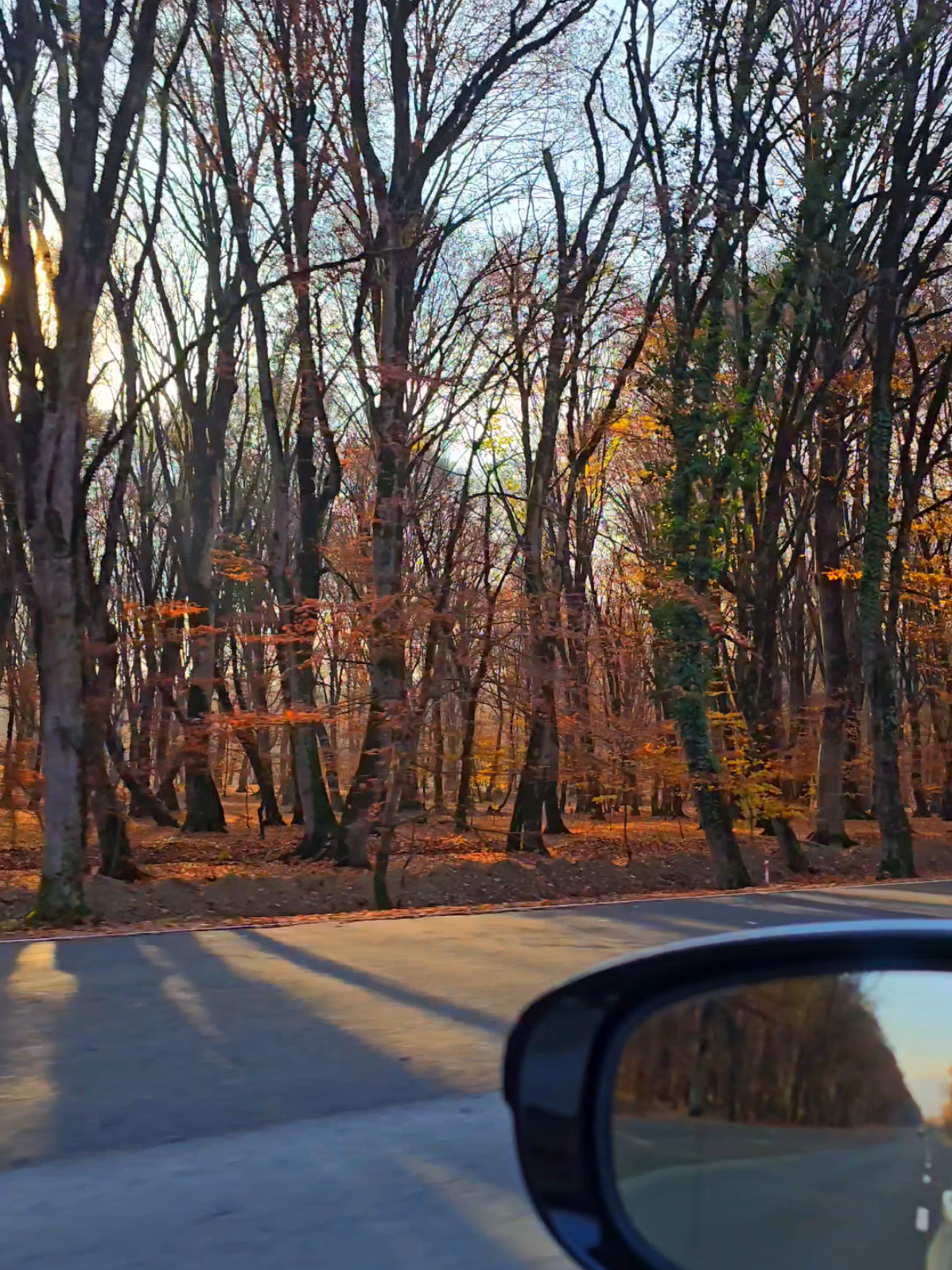 Bir Payızıda Yola Saldıq  #payız #kasım #qəbələ #meşə #kəsvet 