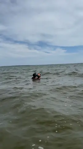 mau nge map ke krusty crab lu bangg?😭