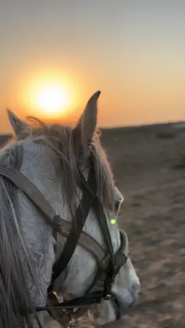 Sıxma ürəyini)) #keşfet 