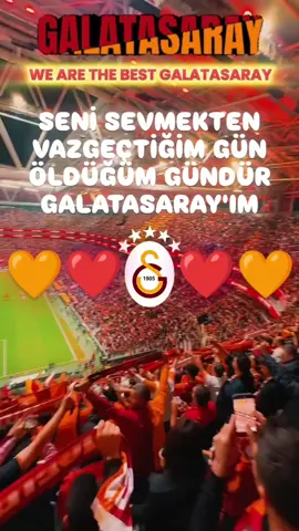 💛❤️💛❤️