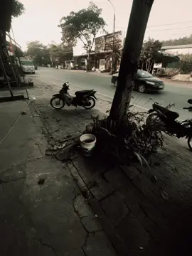 Điếu thuốc tàn còn có nơi để gạt Đời nó bạc, biết trôi dạt về đâuu..#viral #fyp #buontamtrang #tinhyeu #xhhh 