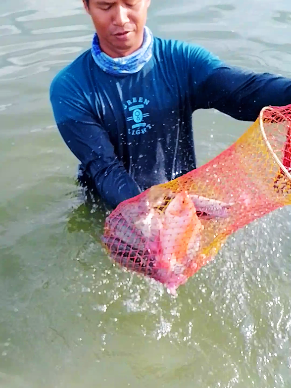 lelet tp pasti,,wko hari ini,,#mancingnyobok #terbaru #masazismancing #mancingmania #storymancing 