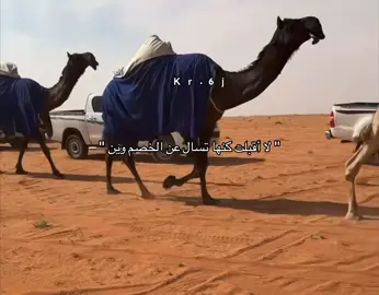 لا أقبلت كنها تسال عن الخصم وين 🥇.                                                        #مسعوده_الدواسر #الدواسر #براك_الحراجين #مداويات_الدواسر 