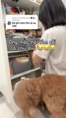 Replying to @chị đẹp lyhan🖤🐈‍⬛  Lại bảo khum cute điiiii 😆😆😆😆  Ngày nào cũng mất 30p lựa outfit zị đó cô chú 😆😆😆 #avocabo46  