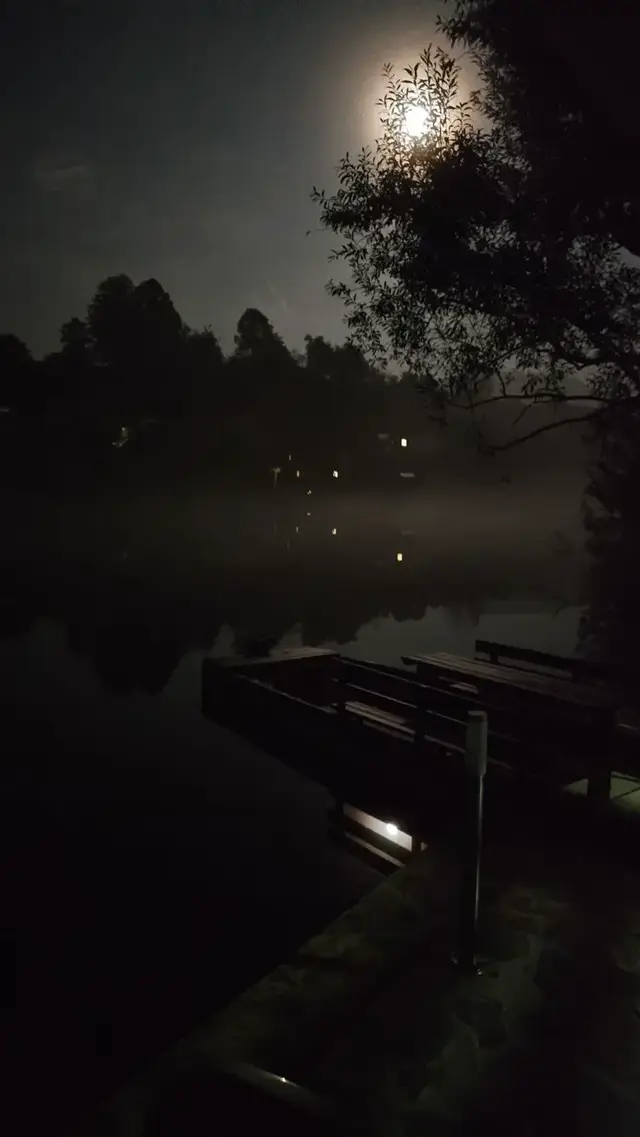 #صور_كانها_الك🦋 #خلفيات_عالية_الدقة #تابعني_متخسر_شي_🔴❤️‍ 