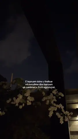 #fypp #virall #islamic_video #muslimtiktok #reminderislamic 