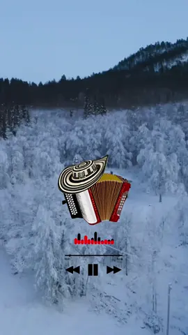 #ahoraquetevas #losinquietosdelvallenato #fyp #parati 