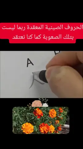 #PaidPartnership #creatorsearchinsights #LIVEStory #LIVEIncentiveProgram #LIVEwithlowfollowers 