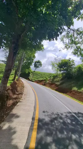 situasi jalan kec.sukanagara #cianjursituasi #cianjur #jalanan #explore #jalan 