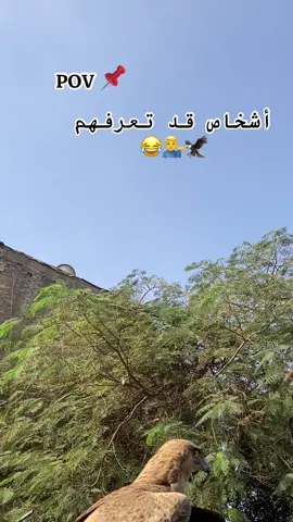 #جخو،الشغل،دا،يا،عالم،➕_❤_📝✌️🌍🦋 #الشعب_الصيني_ماله_حل😂😂 #سودانيز_تيك_توك_مشاهير_السودان🇸🇩 #sudanese_tiktok_🇸🇩 #fyp 