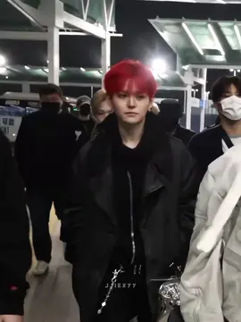 #yoshi #yoshitreasure #treasure 