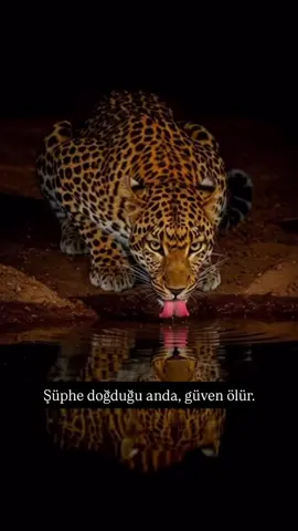 #anlamlısözler #acısözler #geceyazdım 