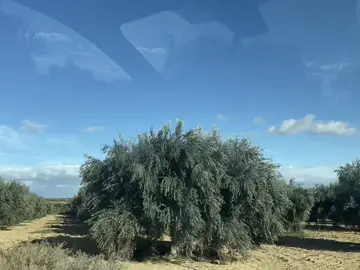 #tunisia🇹🇳 #kairouan #المخصومة #شعب_الصيني_ماله_حل😂😂 #هداجي 