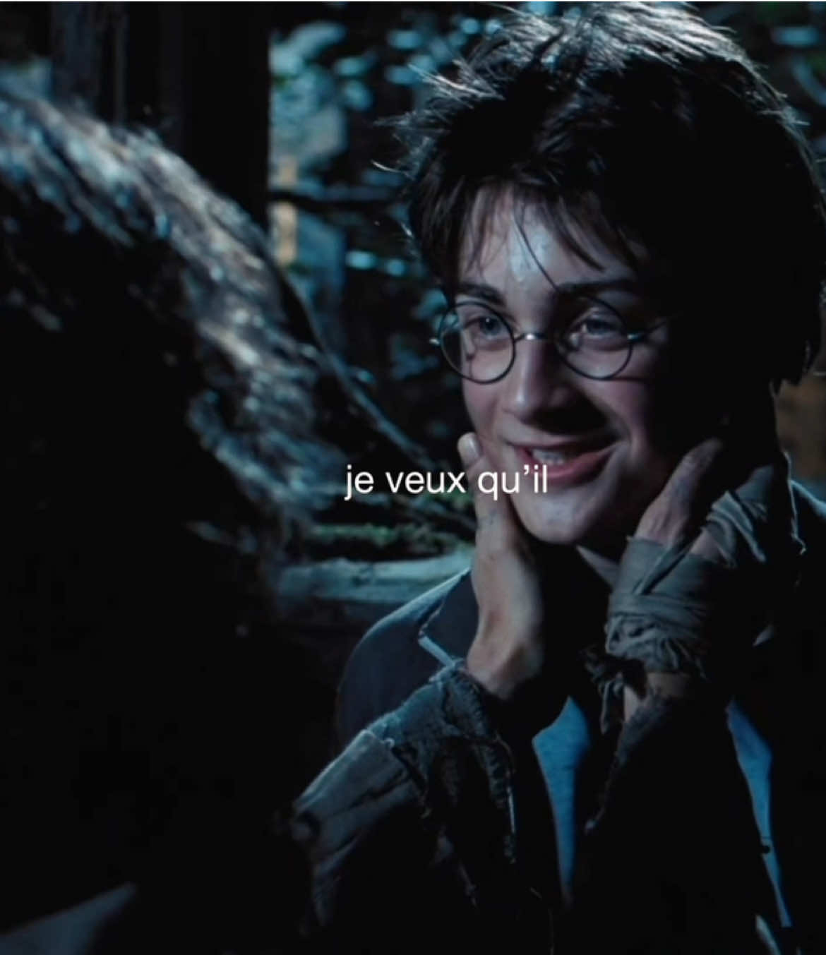 comment song suggestions for my edits ! #harrypotter #harrypotteredit #danielradcliffe #fyp #viral 