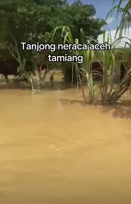 #kualasimpang #acehtamiang #banjir #bencanaalam #aceh 