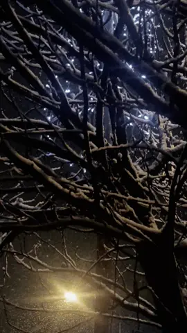 100% #боль #одиночество #разочарование #мысливслух #врекомендации 