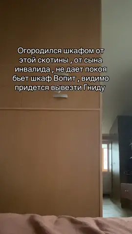 Ну и вот что делать в такой ситуации?????#рекомендации #fyp 