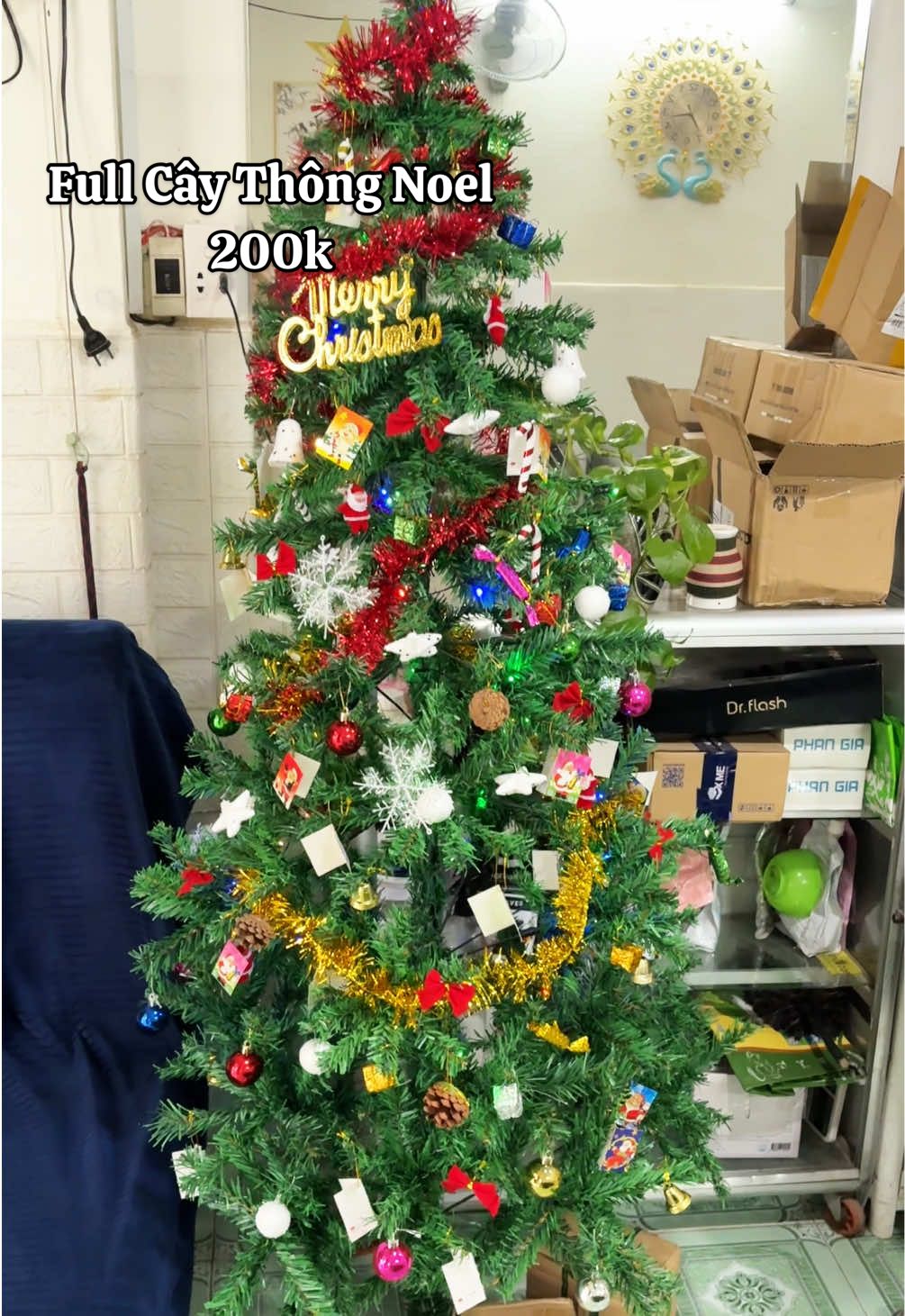 Hơn 200k Cây Thông Noel Full Toping + đèn trang trí cho tiệm nhỏ xinh xinh nè #caythongnoel #noel #trangtrinoel #noel2025 #decor  @Tiệm Gội Đầu Cô Vui  @Tiệm Gội Đầu Cô Vui 