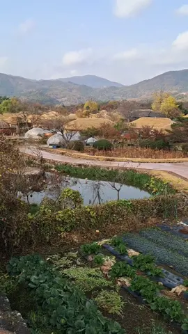 Salah satu desa peninggalan era Joseon. Untuk versi photo bisa cek di Instagram : violetyoou #kdrama #korea #sageuk #drakor 