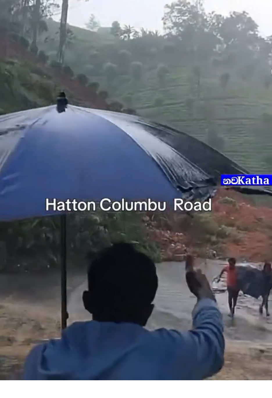 නායක් ඇවිල්ල නතර උනාට පස්සෙ ලගට ගිහිල්ල ඇටේ කන්න වගේ බලාගෙන ඉන්න එපා බං ඉතුරු ටික කොයි වෙලාවෙ කඩාගෙන එයිද කියන්න බෑ  අනික ඕකෙ රත්තරං නෙවෙයි එන්නෙ ගලුයි පසුයි. ලබ්බ කන්න වගේ බලාගෙන ඉන්නෙ අහවල් එක එන්නෙ නෑ  වැඳල ඉල්ලන්නෙ මිනිස්සු මෙහේ අසරන උන අයට උදවු කරන්න දගලනකොට ඔය රෙද්දවල් අස්සෙ රිංගල මැරෙන්න යන්න එපා ඒකෙනුත් අසරන ගෙවල් වල උනුයි අහල පහල මිනිස්සුයි 🙏 #creatorsearchinsights #foryoupage #foryou #viral #fyp 