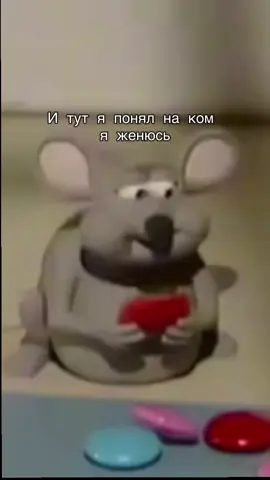 Тгк в шапке профиля 