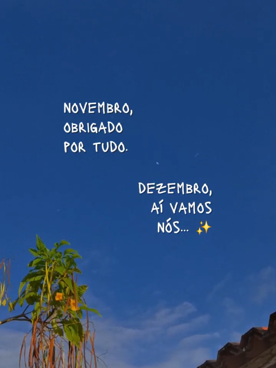 Obrigado, Novembro ✨️ #CapCut #Novembro #bemvindoDezembro #momentos #dump 