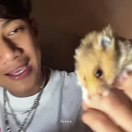 momong hamster🤏🏻 #isal #affanfaisal #gwsm #fyp 