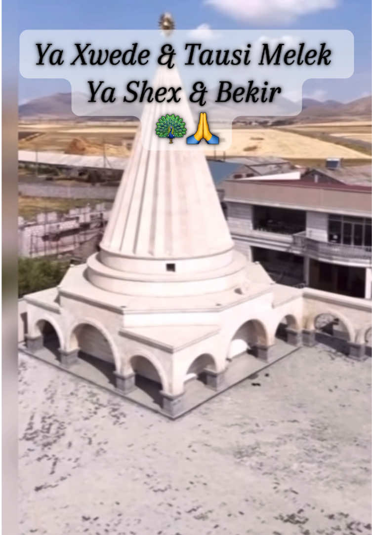 Ya Xwede & Tausi Melek  Ya Shex & Bekir 🦚🙏#ezidixan #ezidxan #shingali74 #lalishanurani #ezidi 🦚🦚🦚🦚🦚🦚🦚🦚🦚🦚🦚🦚🦚🦚🦚🦚