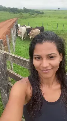 #taro #cartomante #vidanaroça #mulherdaroça #vidasimples 