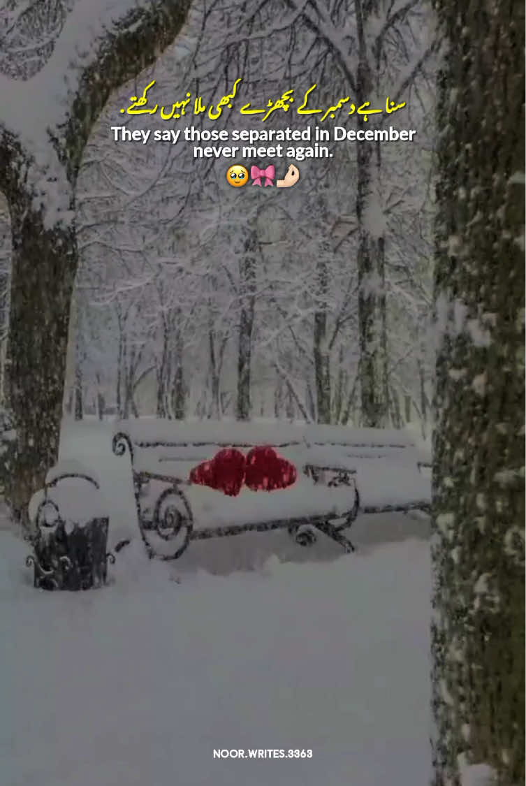Mention Them 🕊️🌸 || Relationship Lines 💗 || December ❄️☃️ || December Vibes 🍂 || December new Status video ✨#Love #lines #december #decembervibes #statusvideo 