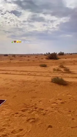 #جلساتي📷🔥 #اذكروا_الله_يذكركم 🥺❤️.