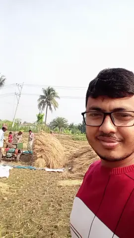 গ্রামের আসল দৃশ্য। 🌾🌾🌾#ধান 