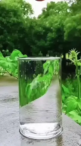 #statusharian #fy #doa #motivasisukses #welcomedesember 