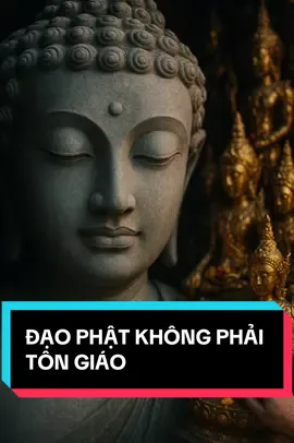 Đạo Phật là con đường tỉnh thức, không phải là một tôn giáo.#chanhphap #loiphatday #phatgiao #daophat #TikTokPhatPhap 