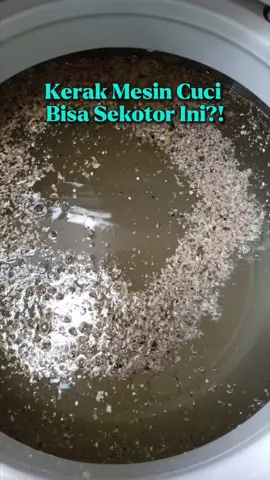 tuh beneran bisa ke angkat semuanya loh keraknya 😱🫵 #wiselieindonesia #GajianSale #promoguncang1212 #pembersihmesincuci #mesincucikotor 