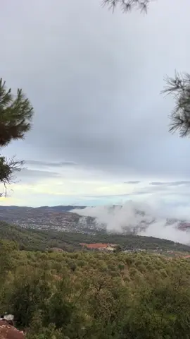 #شتاء #ساكب #جرش #مطر #الاردن 