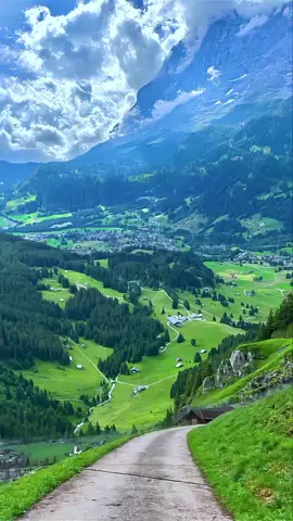 *🌸 تِلَاوَةُ القُرْآنِ تُنِيرُ القُلُوب ✨📖*  *🕊️ القُرْآنُ رَاحَةٌ لِلنُّفُوسِ 💖📿*    *📖 اسْتَمِعْ بِقَلْبِكَ، فَإِنَّهُ كَلَامُ اللهِ 💫🕌*    *🕋 كِتَابُ اللهِ حَيَاةٌ لِلقَلْبِ 🌿🤍*       *💞 تِلاوَةٌ تُبكِي القُلُوبَ، و تُلَيِّن النُّفُوسَ 🌧️*   *📌 فَضْلًا: اِتْبَعْنَا 📲، أَعْجِبْ بِالمَقْطَع ♥، و شاركه 🔁*