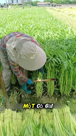 @𝐃𝐮𝐲 𝐄𝐝𝐢𝐭 ☭ @𝐃𝐮𝐲 𝐄𝐝𝐢𝐭 ☭ @𝐃𝐮𝐲 𝐄𝐝𝐢𝐭 ☭ 