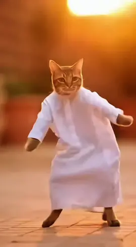 قط يرقص على اغنية هندية رانو😹😹😹 #ranu #india #creatorsearchinsights #الشعب_الصيني_ماله_حل😂😂 #sofunnyviral 