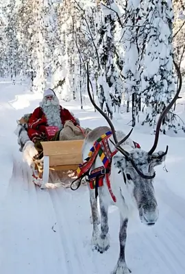 #merycristmas🌲🌲🌲🌲🌲 #crismas #navidad 