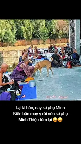 Rồi bữa nào cũng phi vào Thầy hết vậy 😆🤣 #xuhuong #thichminhtue #gaimienque ☘️🌸