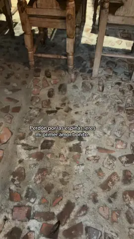Perdón por las partes de mí que te han lastimado, Aun así, tú eres mi primer amor realmente bonito, especial, sano o significativo, No soy perfecto, pero tú eres alguien muy importante y valioso para mí, y no quiero arruinarlo❤️‍🩹 #tiktok #masFuerte #paratiiiiiiiiiiiiiiiiiiiiiiiiiiiiiii 