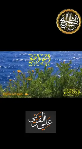 #فصيح_الحجاز_علي_القرني #علي_القرني #ادال_على_الخير_كفالعه #متابعه_فضلا_منكم #متابعه 